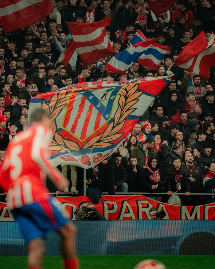 美媒：绿军本赛季本该沉寂，多指标力助他们成东部最大惊喜（美媒：本季不被看好的凯尔特人，多项数据助推成东部最大黑马）